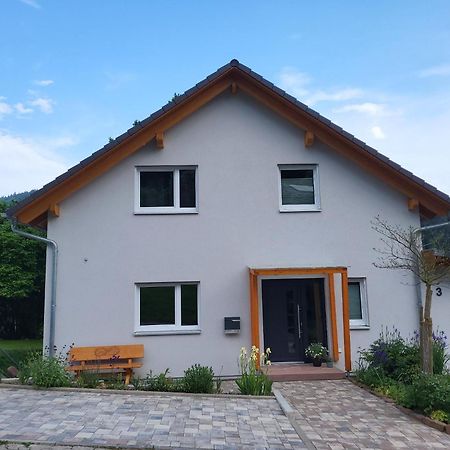 Fewo Am Neckarsteig Mit Anbindung An Heidelberg Neckarsteinach Zewnętrze zdjęcie