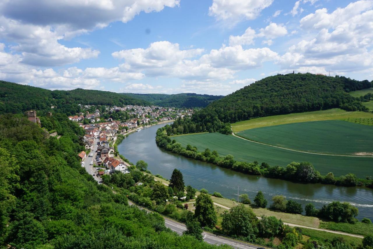 Fewo Am Neckarsteig Mit Anbindung An Heidelberg Neckarsteinach Zewnętrze zdjęcie
