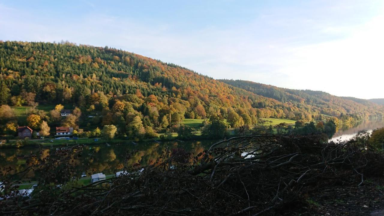 Fewo Am Neckarsteig Mit Anbindung An Heidelberg Neckarsteinach Zewnętrze zdjęcie