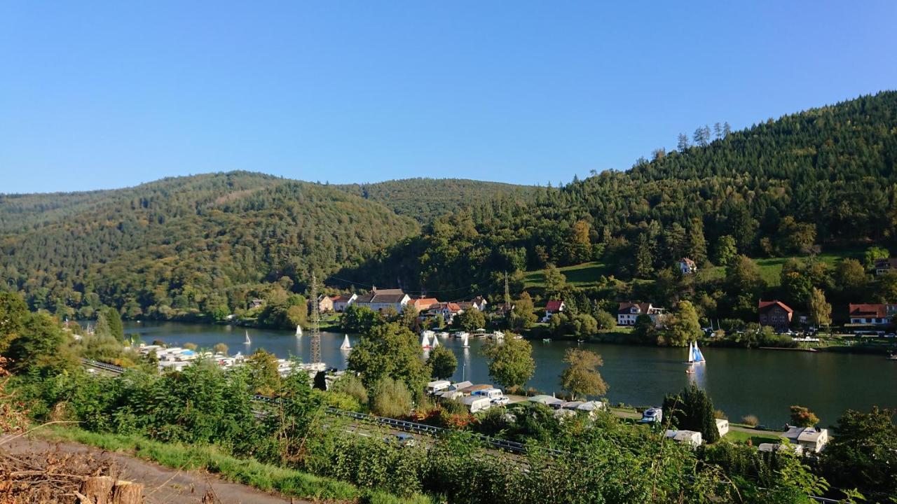 Fewo Am Neckarsteig Mit Anbindung An Heidelberg Neckarsteinach Zewnętrze zdjęcie