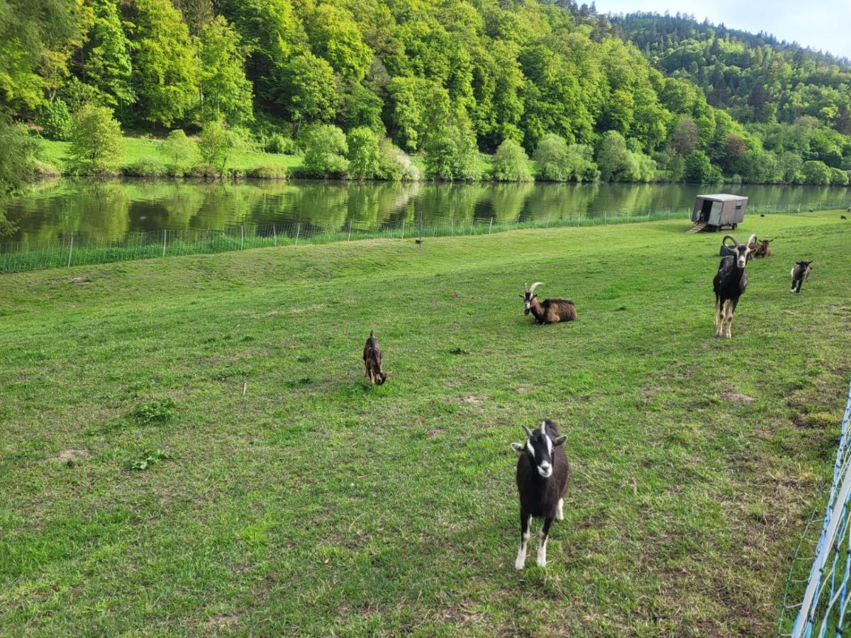 Fewo Am Neckarsteig Mit Anbindung An Heidelberg Neckarsteinach Zewnętrze zdjęcie