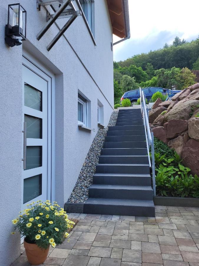 Fewo Am Neckarsteig Mit Anbindung An Heidelberg Neckarsteinach Zewnętrze zdjęcie